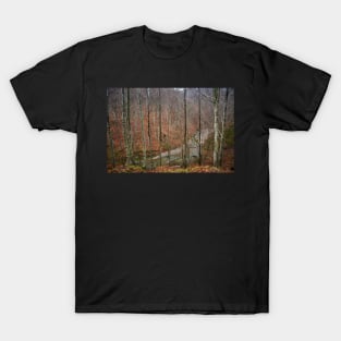 River in the mountains T-Shirt